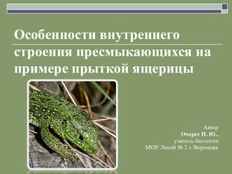 Особенности внутреннего строения пресмыкающихся на примере прыткой ящерицы