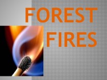 Forest fires