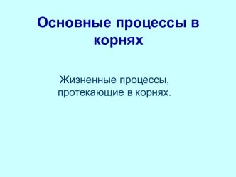 Основные процессы в корнях. Жизненные процессы, протекающие в корнях