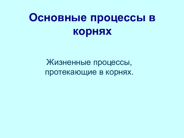 Основные процессы в корняхЖизненные процессы, протекающие в корнях.