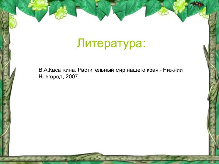 Литература:   В.А.Касаткина. Растительный мир нашего края.- Нижний Новгород, 2007