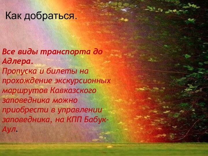 Как добраться. Все виды транспорта до Адлера.Пропуска и билеты на прохождение