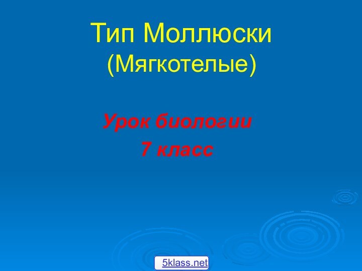 Тип Моллюски (Мягкотелые)Урок биологии7 класс