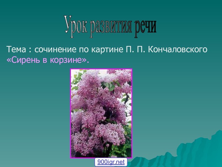 Урок развития речи Тема : сочинение по картине П. П. Кончаловского «Сирень в корзине».