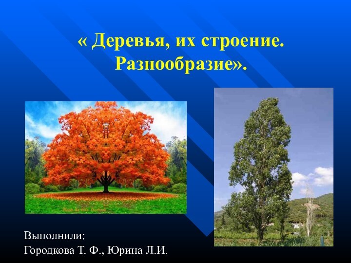 « Деревья, их строение. Разнообразие». Выполнили:Городкова Т. Ф., Юрина Л.И.