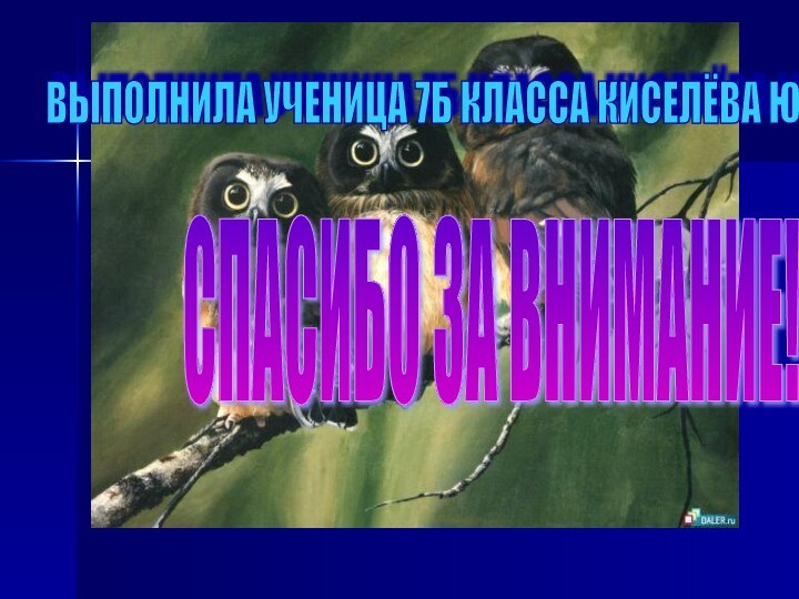 СПАСИБО ЗА ВНИМАНИЕ! ВЫПОЛНИЛА УЧЕНИЦА 7Б КЛАССА КИСЕЛЁВА ЮЛЯ