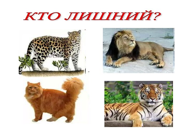 КТО ЛИШНИЙ?