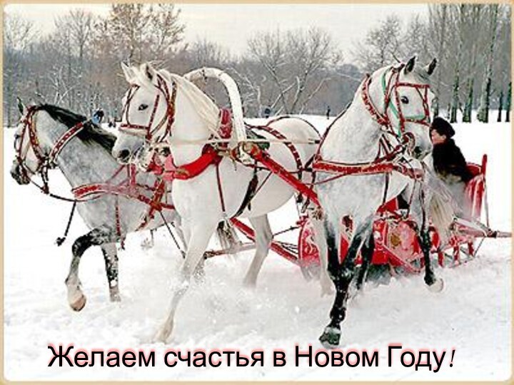 Желаем счастья в Новом Году!