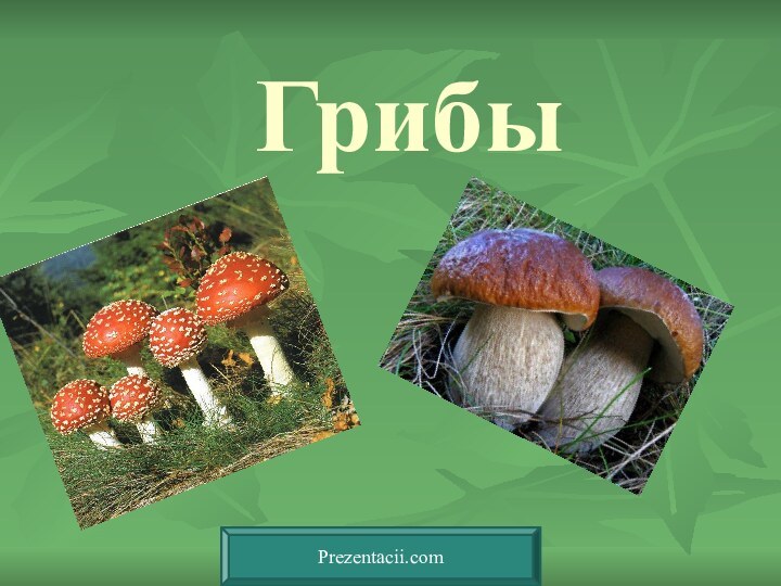 ГрибыPrezentacii.com