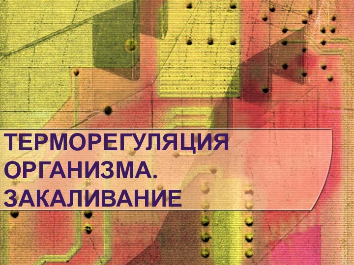 ТЕРМОРЕГУЛЯЦИЯ ОРГАНИЗМА. ЗАКАЛИВАНИЕ