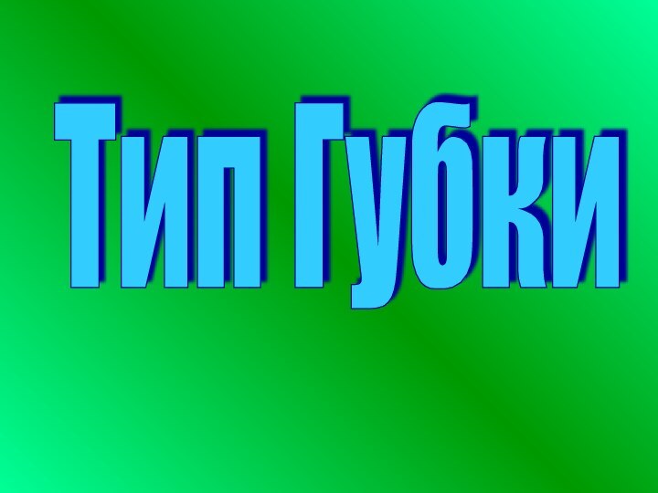 Тип Губки