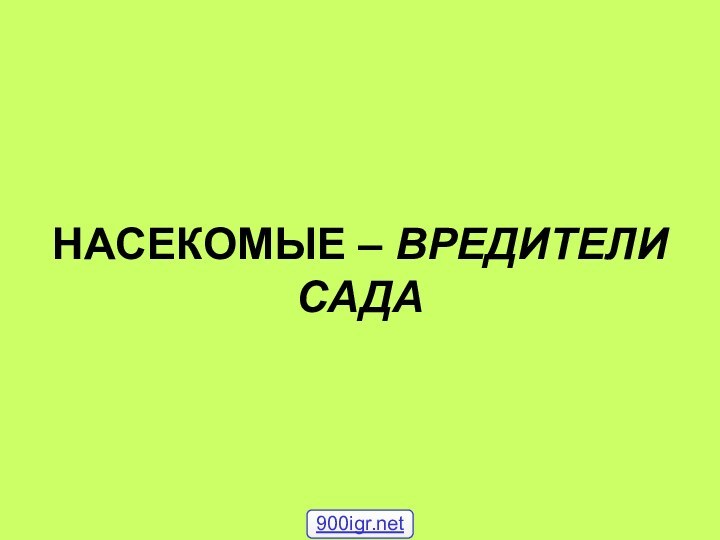 НАСЕКОМЫЕ – ВРЕДИТЕЛИ САДА