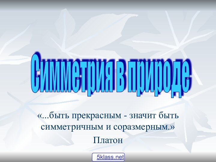 Симметрия в природе «...быть прекрасным - значит быть симметричным и соразмерным.» Платон