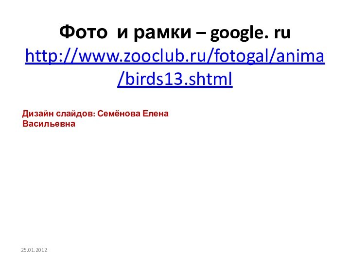 Фото и рамки – google. ru  http://www.zooclub.ru/fotogal/anima/birds13.shtml Дизайн