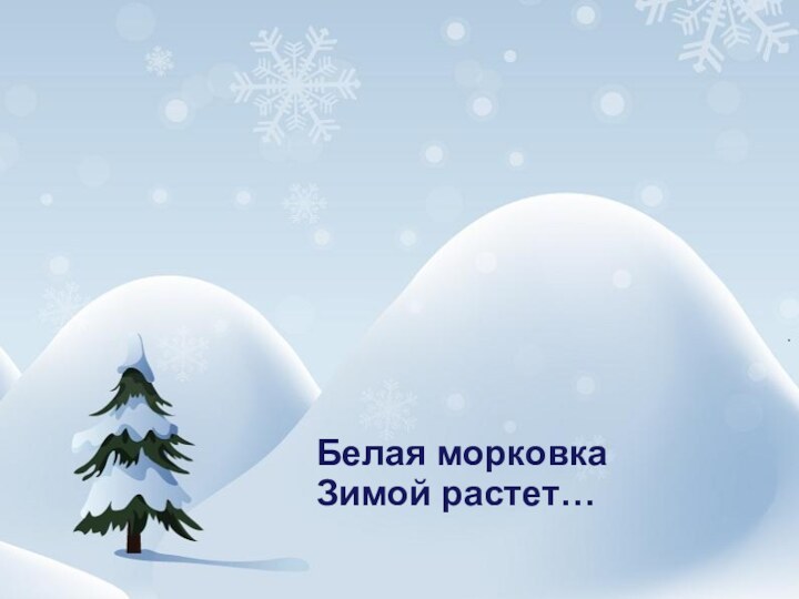 Белая морковкаЗимой растет…