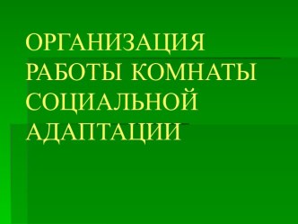 Организация работы комнаты социальной адаптации