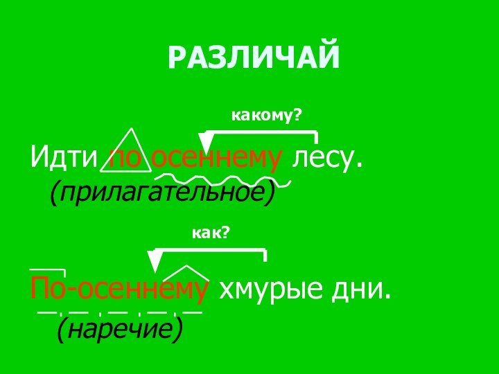 РАЗЛИЧАЙИдти по осеннему лесу.