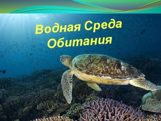 Водная Среда Обитания