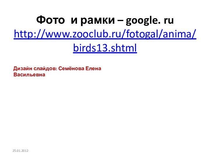 Фото и рамки – google. ru  http://www.zooclub.ru/fotogal/anima/birds13.shtml Дизайн