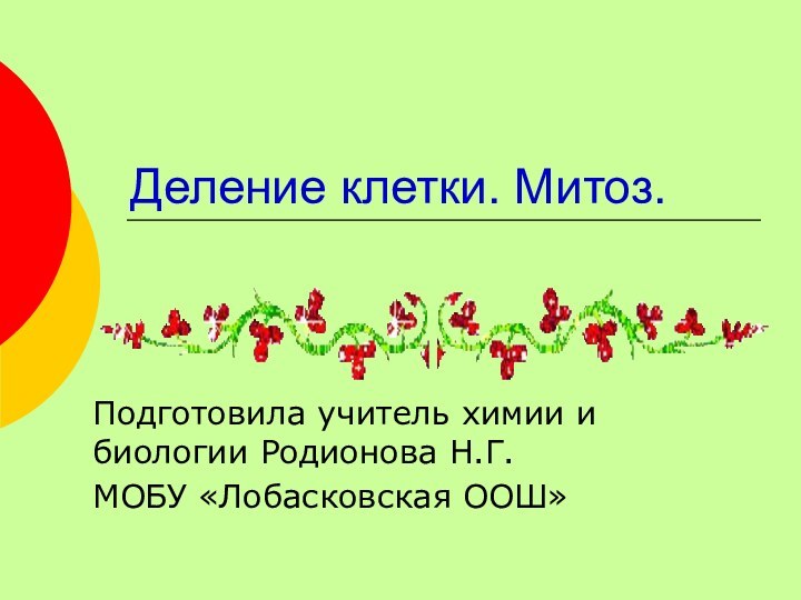 Деление клетки. Митоз. Подготовила учитель химии и биологии Родионова Н.Г.МОБУ «Лобасковская ООШ»