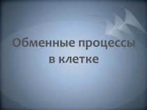 Обменные процессы в клетке