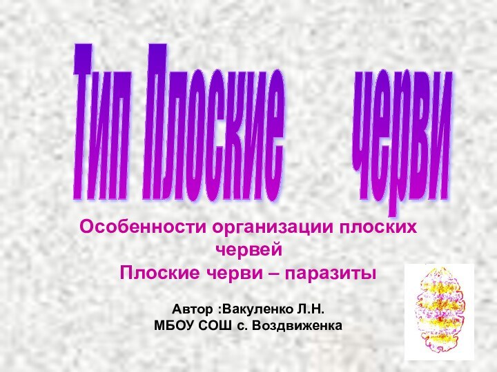 Тип Плоские     черви Особенности организации плоских червейПлоские черви