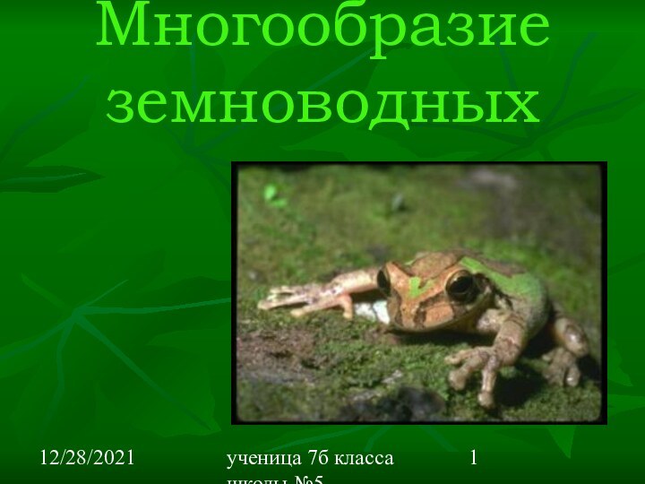 12/28/2021ученица 7б класса школы №5 Вишневецкая ВалерияМногообразие земноводных