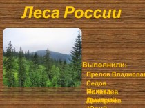 Леса России 8 класс