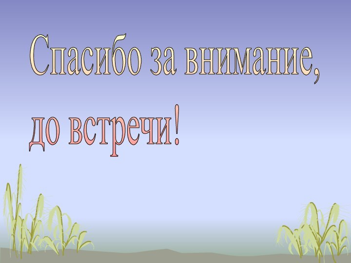 Спасибо за внимание,  до встречи!