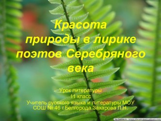 Красота природы в лирике поэтов Серебряного века