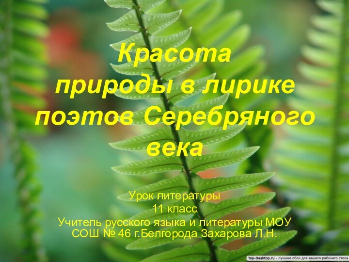 Красота  природы в лирике поэтов Серебряного векаУрок литературы11 классУчитель русского языка