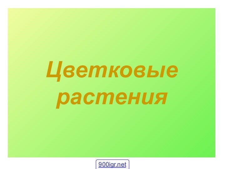 Цветковые растения