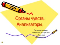 Органы чувств. Анализаторы