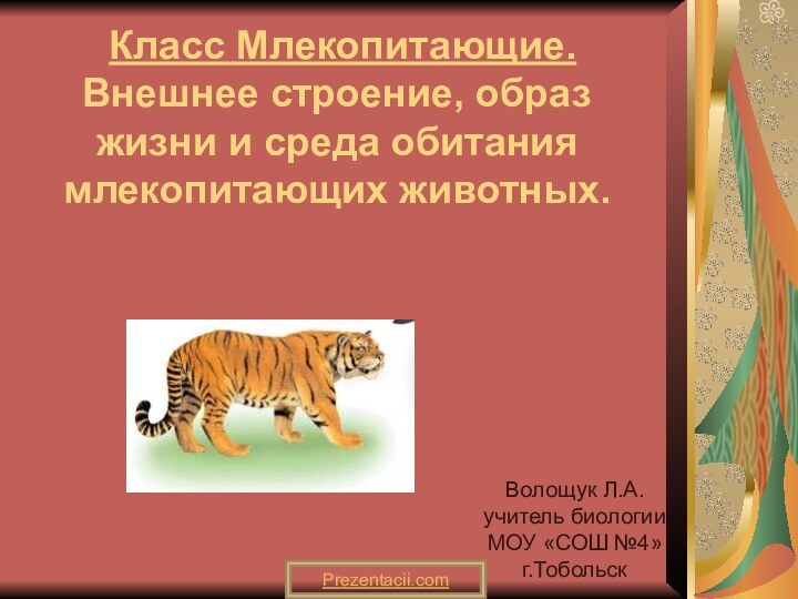 Класс Млекопитающие. Внешнее строение, образ жизни и среда обитания млекопитающих животных.Волощук