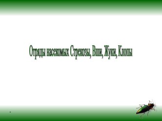 Отряды насекомых Стрекозы, Вши, Жуки,