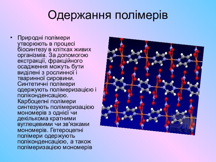 Одержання полімерів Природні полімери утворюють в процесі біосинтезу в клітках живих організмів.