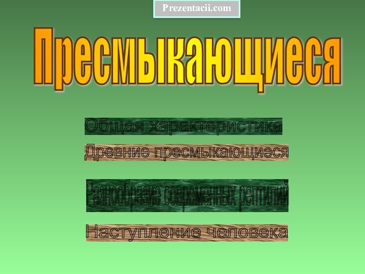 Пресмыкающиеся Общая характеристика Древние пресмыкающиеся Разнообразие современных рептилий Наступление человека Prezentacii.com