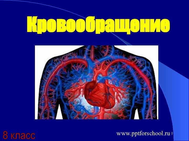 8 класс Кровообращениеwww.pptforschool.ru