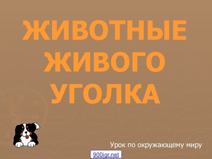 ЖИВОТНЫЕ ЖИВОГО УГОЛКАУрок по окружающему миру