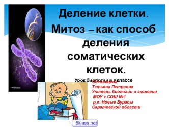 Митоз