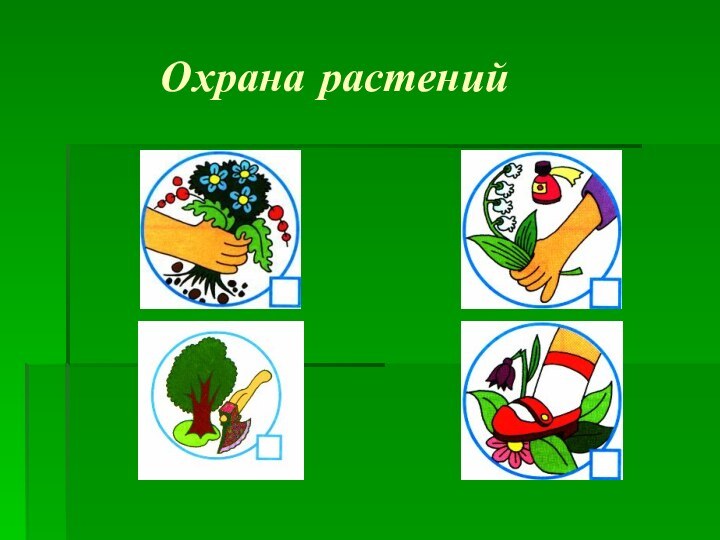 Охрана растений