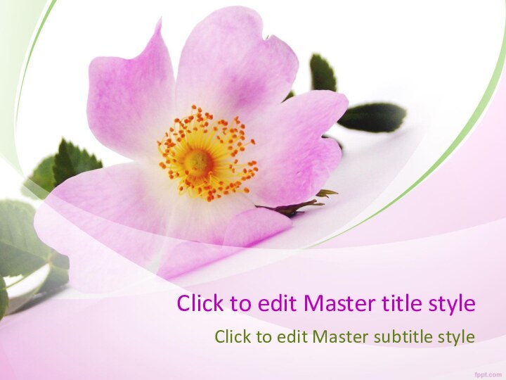 Click to edit Master title styleClick to edit Master subtitle style