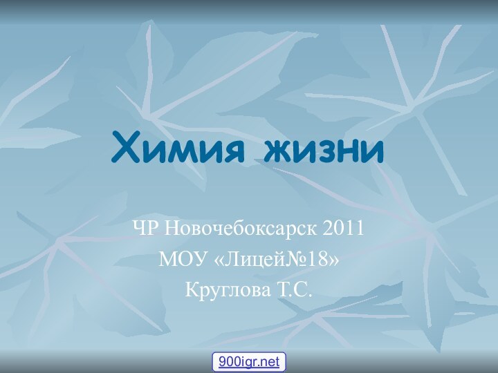 Химия жизниЧР Новочебоксарск 2011МОУ «Лицей№18»Круглова Т.С.