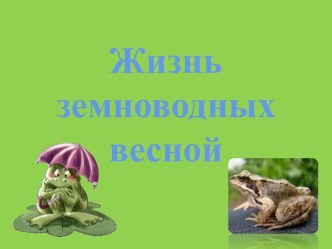 Жизнь земноводных весной