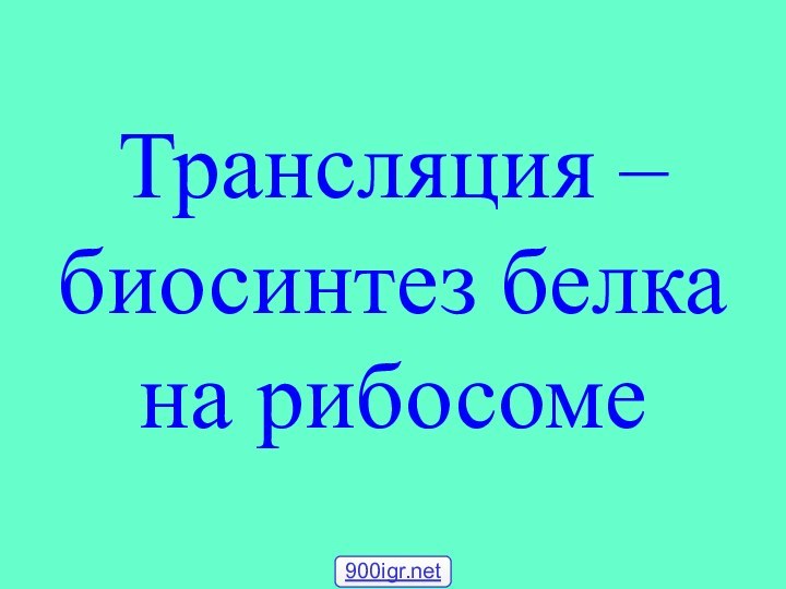 Трансляция – биосинтез белка на рибосоме