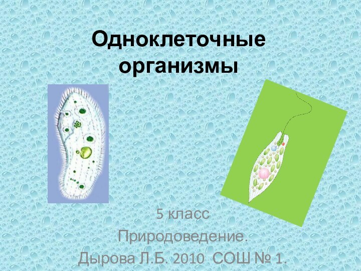 Одноклеточные организмы5 классПриродоведение.Дырова Л.Б. 2010 СОШ № 1.