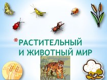 Растительный и животный мир