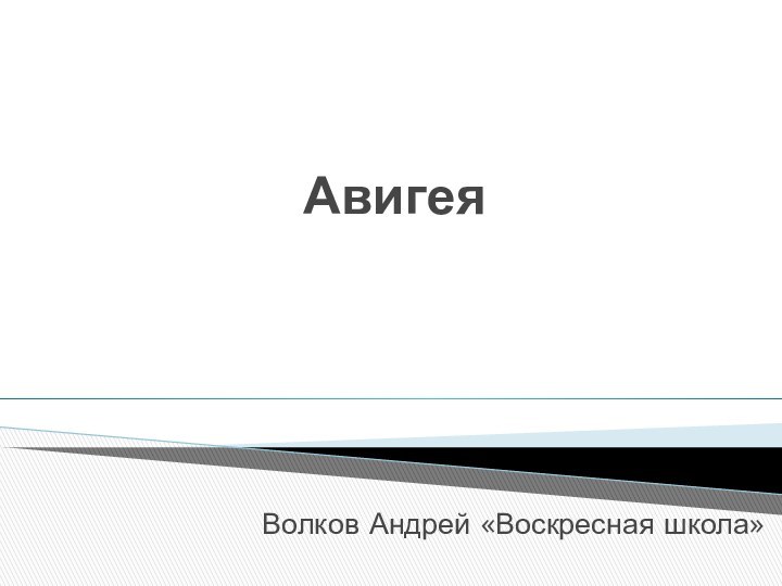 АвигеяВолков Андрей «Воскресная школа»