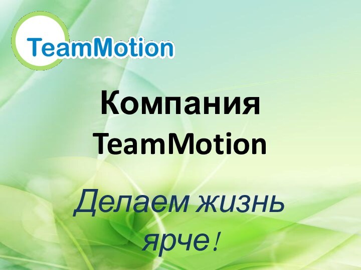 Компания TeamMotionДелаем жизнь ярче!