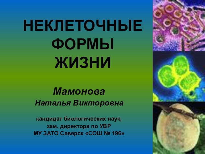 НЕКЛЕТОЧНЫЕ  ФОРМЫ  ЖИЗНИМамоноваНаталья Викторовна кандидат биологических наук,зам. директора по УВР